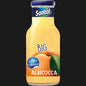 SANTAL FRUIT JUICE APRICOT GLASS 250 ML (24pcs)